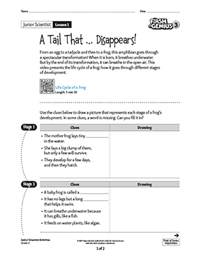 Thumbnail illustration Junior Scientist 01: A Tail That... Disappears!