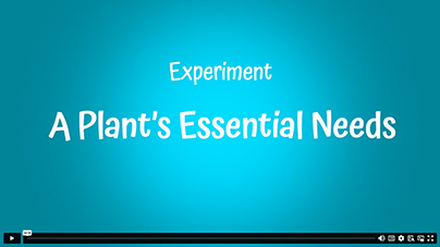 Carli Thumbnail illustration Video 9-1: Experiment - A Plant's Essential Needs with Martin Carli